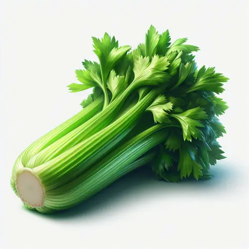 Celery: A Nutrient-Rich Superfood for Health and Well-being