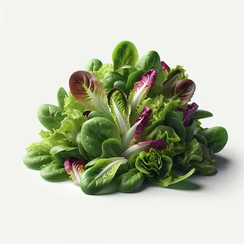 The Nutritional Powerhouse: Spring Mix